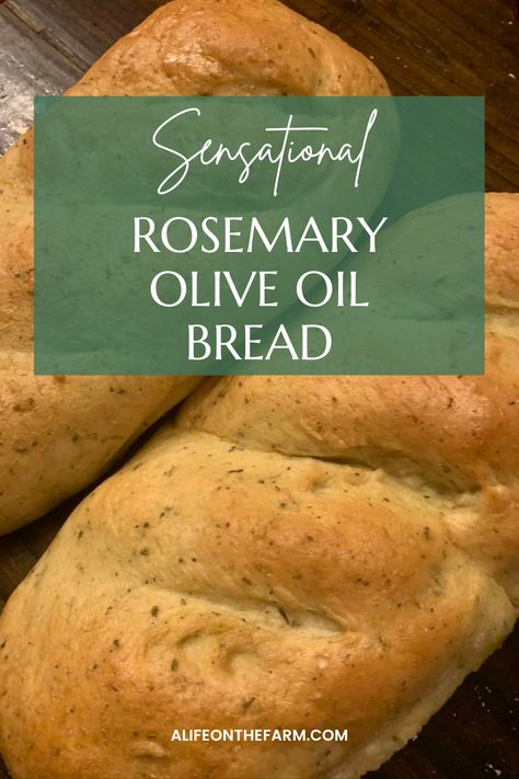 Rosemary Olive Oil Sourdough Crackers, Olive Oil Rosemary Bread, Rustic Rosemary Bread, Rosemary Herb Bread, Rosemary Thyme Bread, Gluten Free Rosemary Bread, Olive Oil Bread Recipe, Homemade Rosemary Bread, Rosemary Olive Oil Bread