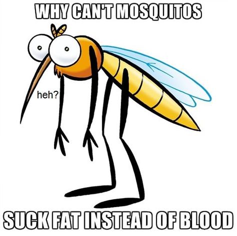 Mosquito Diet Mosquito Meme, Funny Mosquito, Spanish Jokes, Chicken Art, Funny Phrases, Sarcasm Humor, Bugs And Insects, Cartoon Jokes, Cartoon Styles