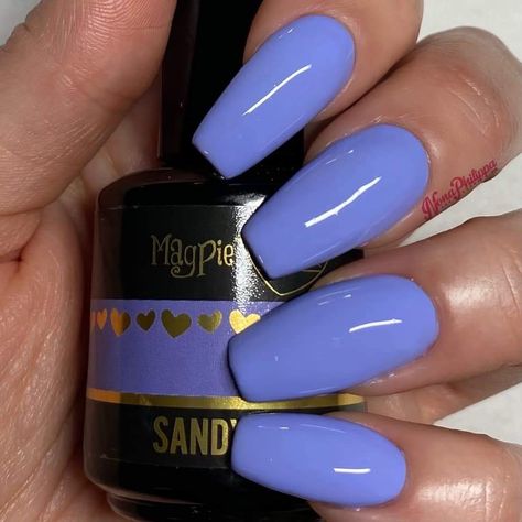 Nail Paints, Blue Nail Color, Bright Nail Designs, Violet Nails, Cute Nail Colors, Polished Nails, Simple Acrylic, Fall Gel Nails, Purple Nail Designs