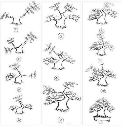 Mini Jardin Zen, Bonsai Collection, Tanaman Air, Bonsai Making, Bonsai Pruning, Jade Bonsai, Bonsai Tree Types, Bonsai Tree Care, Bonsai Techniques