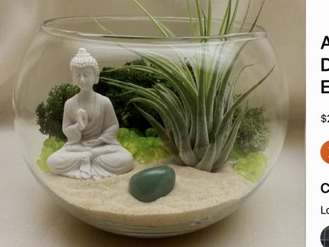 Buddha Terrarium, Air Plants Decor, The Garden Room, Diy Succulent Terrarium, Mini Zen Garden, Buddha Garden, Zen Garden Design, Air Element, Plant Terrarium