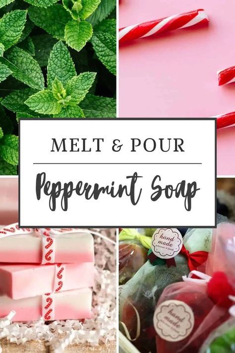 If you’re looking for a peppermint soap recipe that’s moisturizing and gentle on your skin, you’re going to love this! Make it today. Peppermint Soap Recipe Melt And Pour, Peppermint Soap Recipe, Goat Milk Soap Recipe, Shae Butter, Sugar Soap, Soap Melt And Pour, Peppermint Soap, Lotion Recipe, Pink Soap