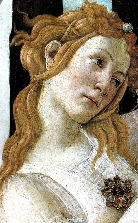 Botticelli Primavera, Botticelli Art, Botticelli Paintings, Antique Paintings, Sandro Botticelli, Historical Painting, Caravaggio, Italian Art, Classical Art