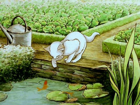 fish and kitty Beatrice Potter, Peter Rabbit And Friends, Photo Awards, Wow Art, Art Et Illustration, Beatrix Potter, Peter Rabbit, Koi Fish, Images Gif