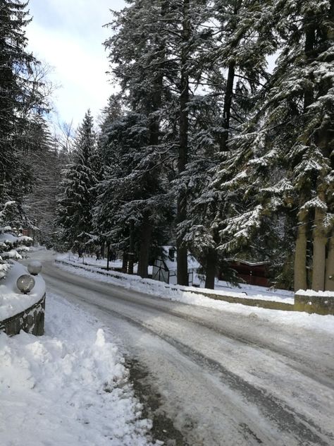 #Winter #Winterwoods #Snow #CastlePeles #woods #Romania #WinteratSinaia Romania Winter, Romania Travel, Romania, Wood, Travel