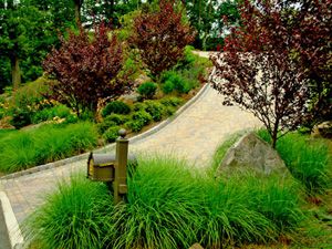 Paver driveway with belgian block curbing and lots and lots of perennials.Trees are Purple Leaf Plums. Just one of the designs from the page on Driveway Entrance Ideas. Sloped Front Yard, Beautiful Driveways, Driveway Entrance Landscaping, Landscaping A Slope, Hydrangea Landscaping, Modern Front Yard, Driveway Entrance, Driveway Design, Driveway Landscaping