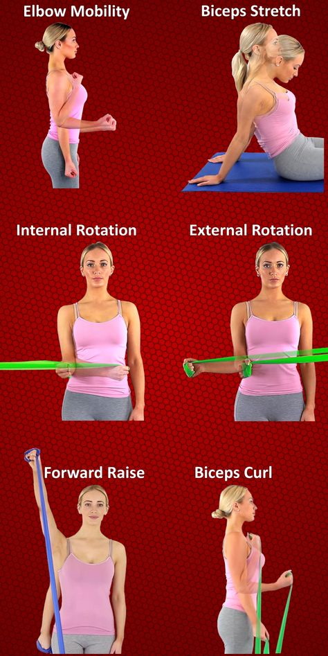 Bicep Tendon, Shoulder Exercises Physical Therapy, Rotator Cuff Rehab, Biceps Exercise, Shoulder Rehab Exercises, Deltoid Workout, Shoulder Anatomy, Gym Back Workout, Rotator Cuff Exercises