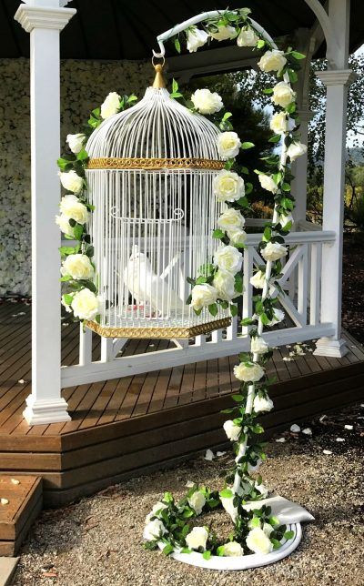 Dove Release, Wedding Doves, Love Birds Wedding, Bird Wedding, Bird Cage Decor, Cozy Patio, Birdcages, White Dove, Moon Garden