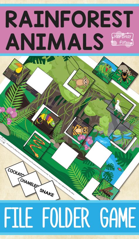 Free Printable Rainforest Animals File Folder Game for Kids Rainforest Animals Printables, Rainforest Games, Rainforest Worksheets, Rainforest Preschool, Rainforest Crafts, Rainforest Project, Rainforest Activities, Folder Activities, Rainforest Theme