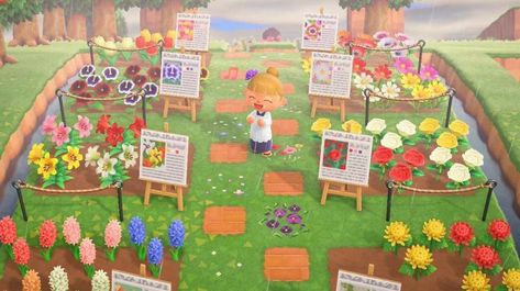 Animal Crossing Town Tune, Motif Acnl, Wild Animals Photos, Animal Crossing Guide, Animal Crossing Wild World, Qr Codes Animal Crossing, Animal Crossing Villagers, Animal Crossing Pocket Camp, Garden Animals