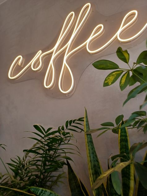 Coffee And Plants Aesthetic, Coffee Shop Plants, Aesthetic Kitchens, Olive Green Wallpaper, Coffee Zone, Coffee Shop Signs, Coffee Counter, Coffee Cart, Coffee Wallpaper