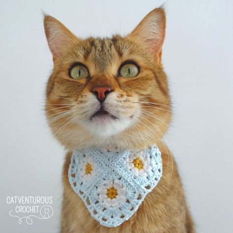 Available for free at Catventurous Crochet on YouTube. Catventurous Crochet: Simple and fun crochet patterns for #fashionablycatventurous kitties. @catventurous.crochet Supermeowdel: Melba @catventurepussmelba Bandana Crochet Pattern, Fun Crochet Patterns, Bandana Crochet, Dog Accesories, Crochet Simple, Fun Crochet, Cat Bandana, Free Cats, Dog Hat