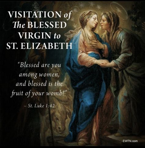 May 31 is the Feast of the Visitation, when the Blessed Virgin Mary, while pregnant with Jesus, greeted her cousin, Elizabeth. At the sound of the Mary's greeting, St. John the Baptist jumped for joy in Elizabeth's womb! The Visitation Of Mary To Elizabeth Art, Visitation Of Mary To Elizabeth, Rosary Meditations, Biblical Meditation, The Visitation, Blessed Mary, Gospel Of Luke, The Blessed Virgin Mary, Mama Mary