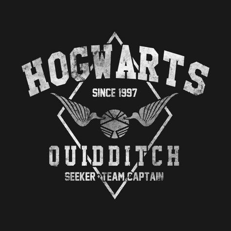 Hp Crafts, Hogwarts T Shirt, Hogwarts Quidditch, Goose Logo, Harry Potter Hoodie, Harry Potter Quidditch, Harry Potter Tshirt, Halloween Tombstones, Harry Potter Christmas