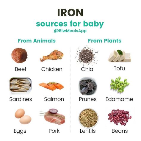 Blw Meals, High Iron Foods, Baby Weaning Foods, Iron Foods, Baby Food Guide, Baby Led Weaning First Foods, Weaning Foods, Easy Baby Food Recipes, Foods With Iron