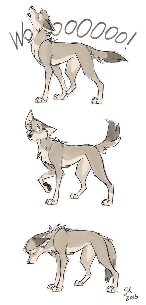 Cute Wolf Drawings, Wolf Sketch, Canine Drawing, Warrior Cats Art, Wolf Drawing, Canine Art, Creature Drawings, Cute Doodles Drawings, Warrior Cat