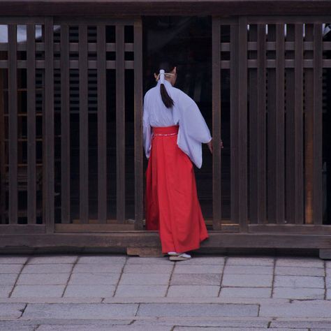 Japanese Reference, Yasaka Shrine, Japan View, Japanese Shrine, Insta Aesthetic, Shrine Maiden, Japanese Stuff, Japan Photography, Sailor Moon Aesthetic