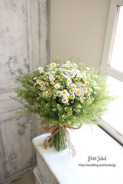 Daisy Arrangements, Garden Lifestyle, Bouquet Champetre, Daisy Wedding, Daisy Bouquet, Bridal Bouquet Flowers, Beautiful Flower Arrangements, Wildflower Wedding, Flower Farm