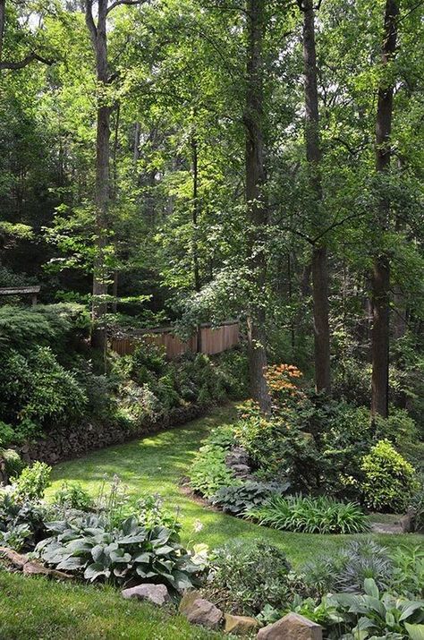 Trees In Backyard, Forest Garden Design, Backyard Forest, Zen Garden Backyard, Mini Forest, Terraced Landscaping, Mulch Landscaping, Cottage Garden Plants, Lawn And Landscape