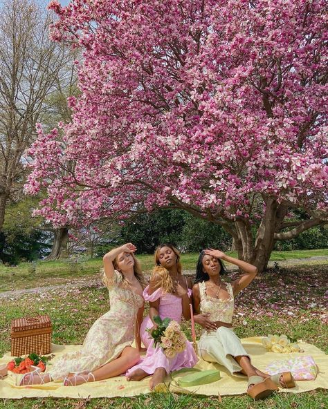 nikki • content creator 🕊 on Instagram: “The photo we’ll all be saving to our Pinterest boards ✨💐👑🕊💛 #princessaesthetic #spring2021 #cherryblossomseason #cottagecoreoutfit…” Bridal Picnic, Cherry Blossom Outfit, Cherry Blossom Pictures, Japan Outfits, Japan Spring, Japan Cherry Blossom, Summer Poses, Party Photoshoot, Cherry Blossom Season