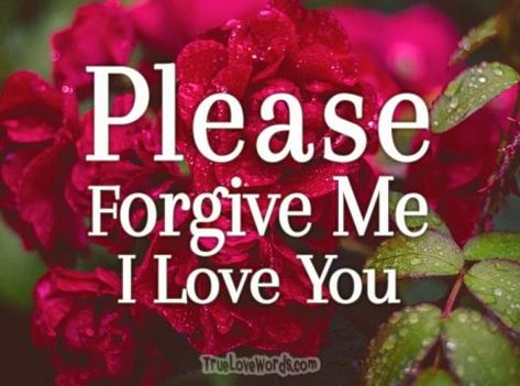 42 Sorry Messages – I’m Sorry Baby Asking For Forgiveness Quotes, Forgiveness Messages, Forgive Me Quotes, Im Sorry Quotes, Sorry Baby, Apologizing Quotes, Romantic Good Morning Messages, Sorry Quotes, Forever Love Quotes