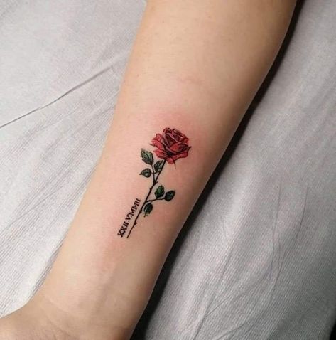 Meaningful Rose Tattoos For Women, Small Red Rose Tattoo, Rose Tattoo Women, Colored Rose Tattoo, Tattoo Rose Designs, Small Rose Tattoo On Wrist, Rose Flower Tattoo Designs, Small Rose Tattoos, Nino Falcone