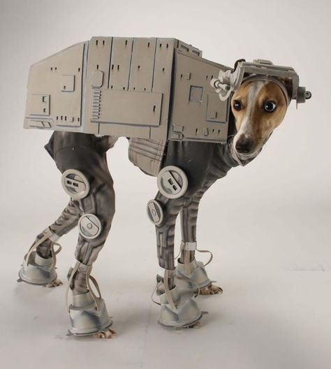 OK, I love dogs and I love Star Wars, but one has to draw a line, at a point...    Gadget of the Week: Star Wars AT-AT Dog Costume Best Dog Costumes, Walker Dog, Imperial Walker, Dog Costumes Funny, Australian Terrier, Poor Dog, Pet Halloween Costumes, Animal Costumes, Star Wars Costumes