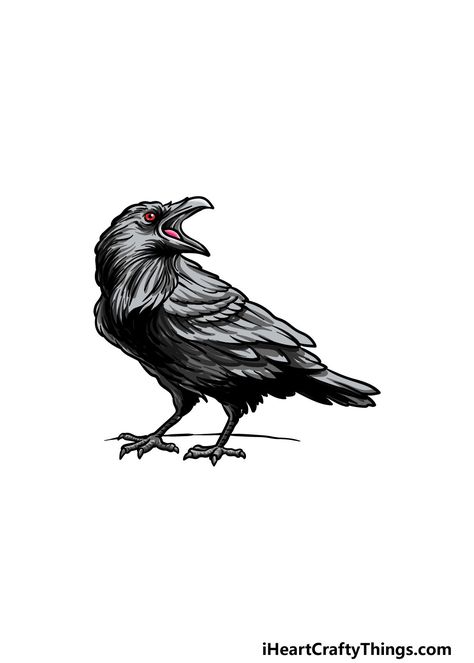 Raven Drawing, Raven Tattoos, Crow Logo, Crow Tattoo Design, Bird Images, Raven Tattoo, Logo Design Inspiration Branding, Raven Art, Sketches Easy