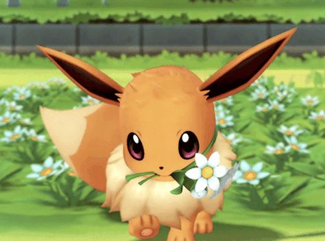 Pokemon Pfp Gif, Eevee Gif, Evoluzioni Eevee, Pokémon Gif, Eevee Cute, All Out Anime, 3d Pokemon, Pokemon Gif, Pokemon Eeveelutions