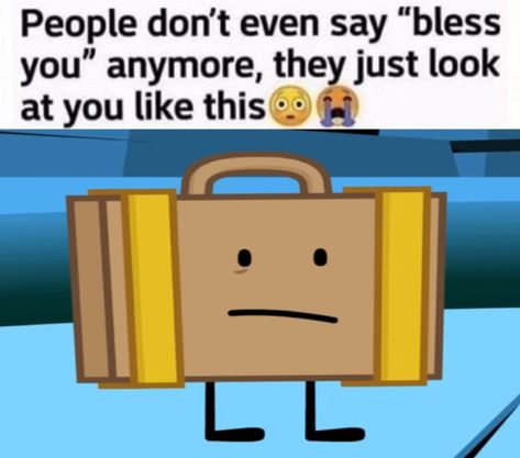 Suitcase Inanimate Insanity, Lightbulb Inanimate Insanity, Suitcase Ii, Inanimate Insanity, Cursed Objects, Lovely Creatures, I Dont Have Friends, Total Drama Island, Silly Images