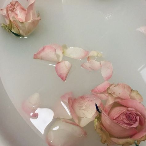 Rosewater Aesthetic, Rose Water Aesthetic, Rose Petal Bath, Mermaid Skin, Water Nymph, Angel Blessings, Water In The Morning, Water Aesthetic, Water Nymphs