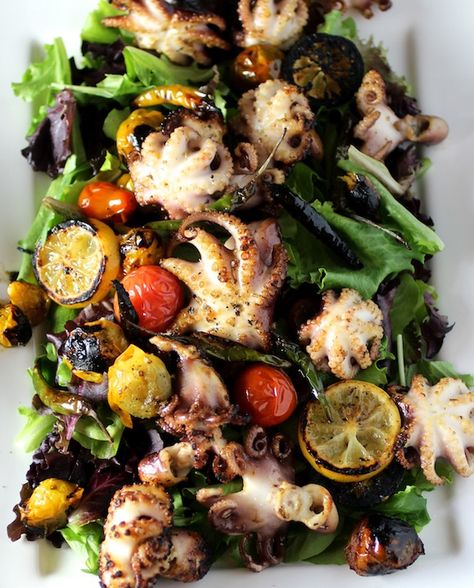 grilled baby octopus salad Octopus Salad, Octopus Recipes, Grilled Salad, Baby Heirloom, Baby Octopus, Grilled Seafood, Seafood Salad, Heirloom Tomatoes, Chili Peppers