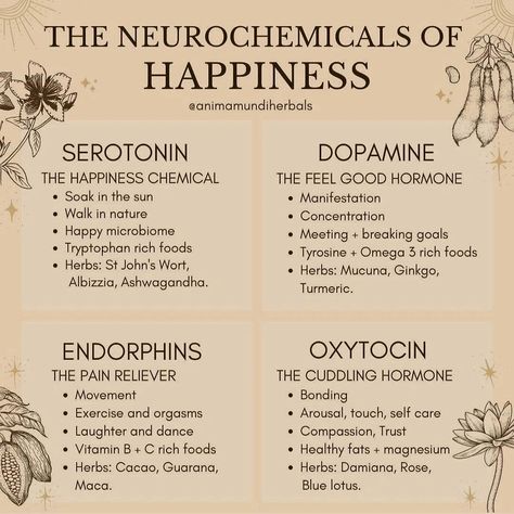 [Infographic] The Neurochemicals of Happiness Happy Hormones, Energy Healing Spirituality, Naturopathy, Hormone Health, Holistic Wellness, Mental And Emotional Health, Holistic Healing, Healing Journey, Coping Skills