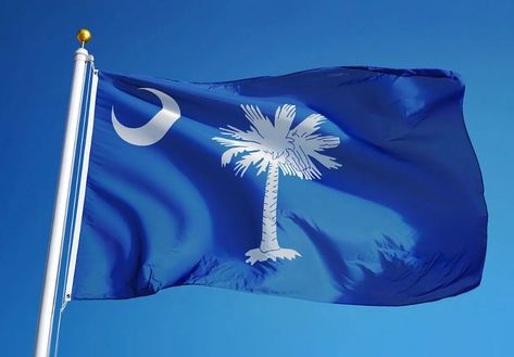 NATIONAL SOUTH CAROLINA DAY - August 31, 2022 - National Today South Carolina State Flag, South Carolina Art, South Carolina Flag, South Carolina Coast, The Big Dipper, Carolina Reaper, Southern Heritage, Big Dipper, American Independence