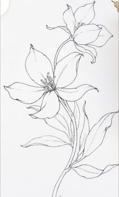 Flower Outline For Painting, Fabric Painting Sketches, Floral Pencil Sketch, Beautiful Flowers Drawing Sketches, Floral Line Drawing, Floral Line Art, Adults Coloring, Flower Line Drawings, Flower Drawing Tutorials