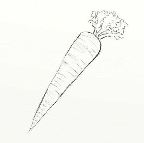 How to Draw a Carrot | FeltMagnet Carrot Drawing Simple, Carrot Drawing Easy, Carrots Drawing, Carrot Sketch, Draw A Carrot, Vegetables Sketch, Carrot Illustration, Owl Drawing Simple, Chrysanthemum Drawing