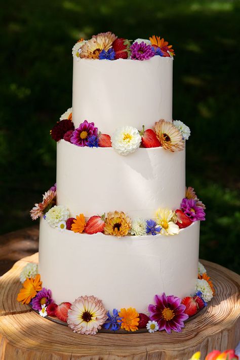 Real Flower Cake Design, Werewolf Wedding, Fiesta Wedding Cake, Festival Wedding Cake, Wedding Cake Colorful, Colourful Wedding Cake, Turtle Wedding, Colorful Wedding Cake, Jewel Tone Wedding Theme