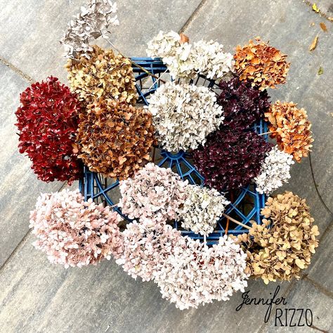 Spray Paint Dried Flowers - Jennifer Rizzo Hydrangea Color Change, Spray Paint Flowers, Floral Spray Paint, Green Spray Paint, Diy Spray Paint, Hydrangea Painting, Fresh Farmhouse, Hydrangea Colors, Dried Hydrangeas