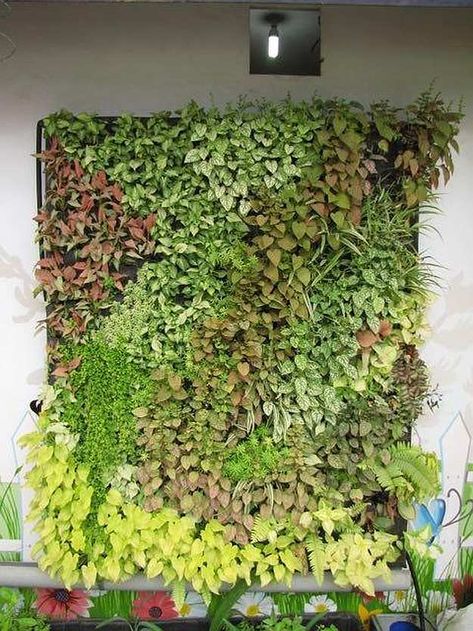 DIY Hydroponics Living Wall | Amazing Hydroponic Systems For Indoor Gardening Hydroponic Wall, Indoor Gardening Diy, Diy Hydroponics, Growing Food Indoors, Indoor Hydroponics, Hydroponic Systems, Vertical Garden Indoor, Hydroponic Farming, Hydroponics Diy