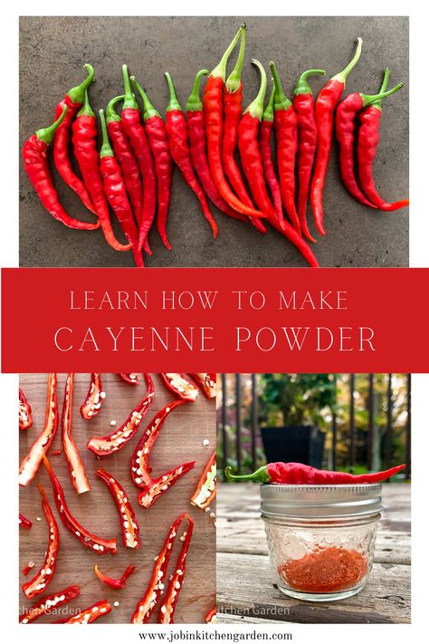 Spice up your life by making your own spice. Make your own cayenne powder at home using a dehydrator. It's easy to make, as fresh as it gets, and cheaper than store bought. Dehydrate Cayenne Peppers, Diy Cayenne Pepper Powder, How To Make Cayenne Pepper Powder, Dehydrating Cayenne Peppers, Dehydrated Cayenne Peppers, Homemade Cayenne Pepper Powder, Drying Cayenne Peppers, Cayenne Infused Oil, Preserving Cayenne Peppers