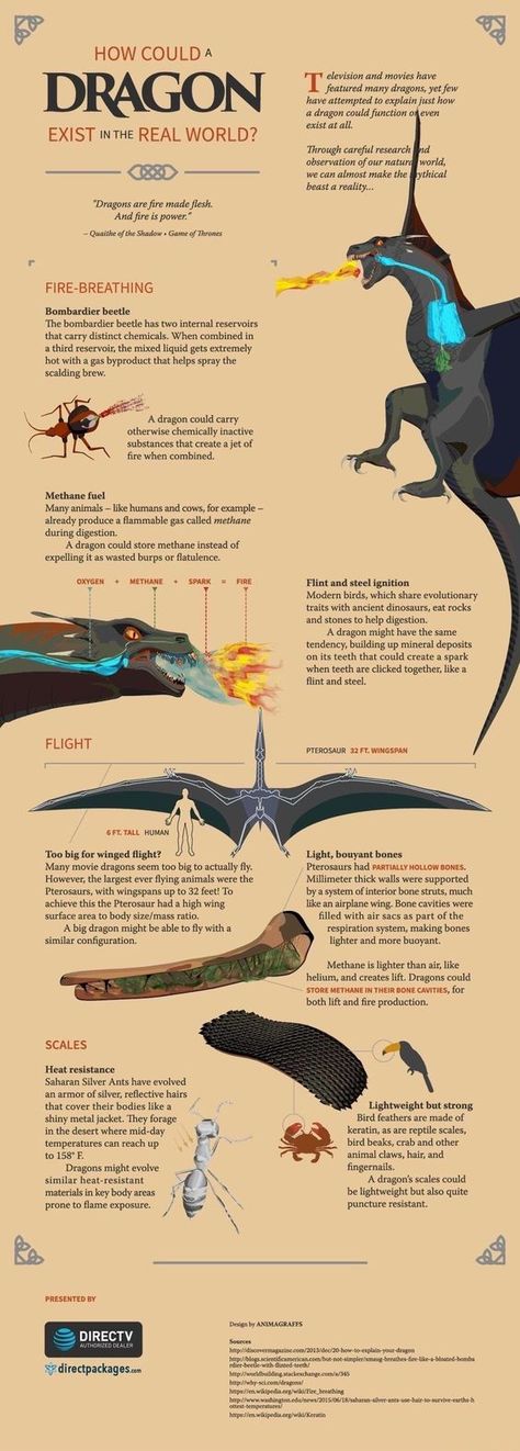 A friend sent this, knowing how much I love dragons, and now I’m sharing it, because, hey, this says it’s possible. Yay!! Mythical Beast, 다크 판타지, Train Your Dragon, Mythological Creatures, Fantasy Dragon, Mystical Creatures, Arte Fantasy, How To Train, Creature Concept