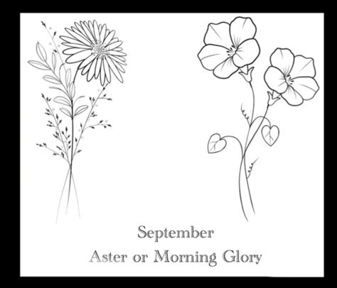 Tattoo September Birth Month, September Birth Flower Spine Tattoo, Aster Bouquet Tattoo, Aster Fine Line Tattoo, Birth Month Flower September, Morning Glory And Aster Flower Tattoo, Aster And Morning Glory Tattoo Simple, Aster Tattoo Design, Single Line Aster Flower Tattoo