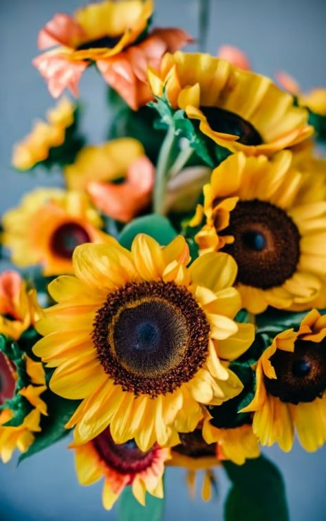 Sunflower Wedding Dreams: A Blooming Love Affair - Payhip Sunflower Wedding, Wedding Dreams, Love Affair, Wedding Pinterest, Art Project, Wedding Flowers, Art Projects, Dream Wedding, Sunflower