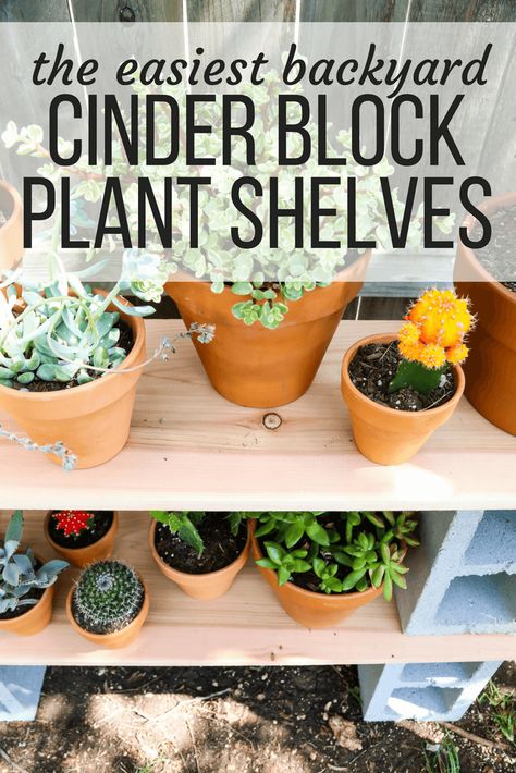 These DIY outdoor plant shelves are incredibly simple to build and affordable to boot. Learn how to make these cinder block plant shelves for your backyard this spring or summer. Cinder Block Greenhouse Shelves, Diy Cinder Block Plant Stand, Cinder Block Shelves Outdoor, Cinder Block Shelf Outdoor, Pallet Plant Stand, Diy Plant Shelf Outdoor Cinder Blocks, Plants In Cinder Blocks, Cinder Block Shelves, Plant Shelves Outdoor