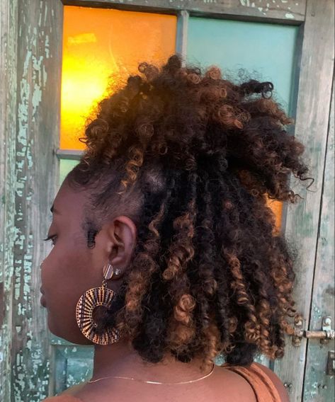 Skunk Stripe Locs, Short Starter Locs, Locs Starter, Dreadlocks Hair Care, Loc Ideas, Hair Tea, Skunk Stripe, Loc Inspiration, Short Locs Hairstyles