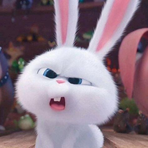 Snowball Rabbit, Whats Wallpaper, Cute Bunny Cartoon, Bunny Wallpaper, Cute Cartoon Images, Wallpaper Animes, Cartoon Wallpaper Iphone, Wallpaper Iphone Disney, Cute Cartoon Pictures