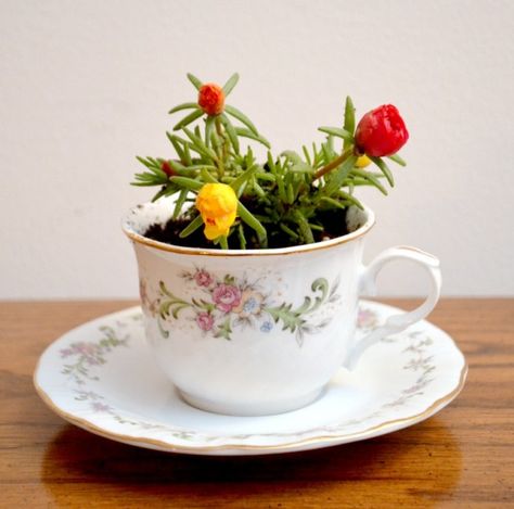 19 The Smartest Ways To Recycle Old Vintage Teacups Teacup Flowers, Vintage Tea Cups, Tea Cup Cake, Teacup Gardens, Teacup Crafts, Teacup Candles, Tea Cups And Saucers, Tea Diy, Ways To Recycle