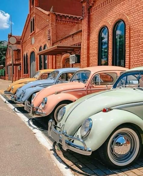 Volkswagen Vintage, Van Vw, Old Vintage Cars, Vw Vintage, Vintage Vw, Classy Cars, Pretty Cars, Vw Bug, Vw Beetle