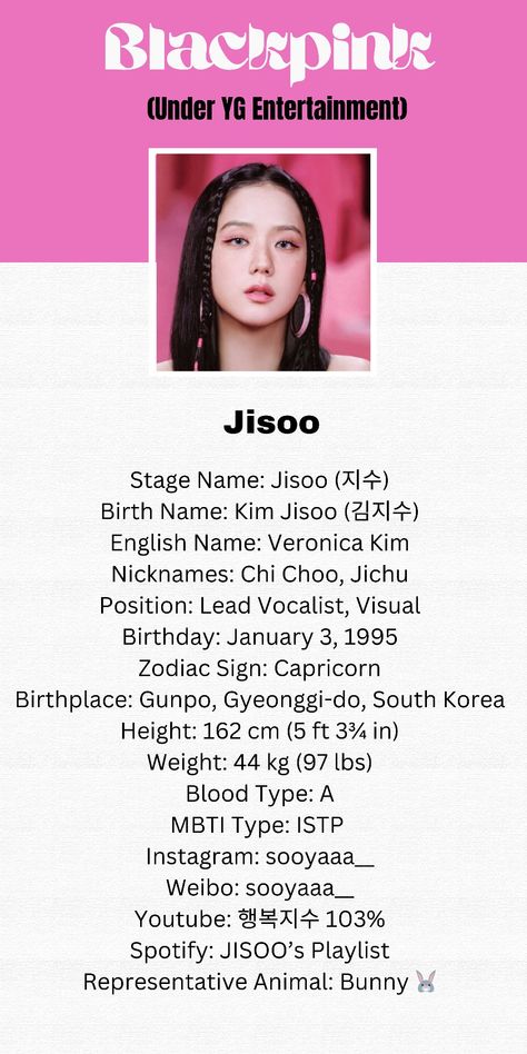 Jisoo Instagram Profile, Jisoo Username Ideas, Jisoo Profile, Blackpink Profile, Pink Song Lyrics, Blackpink Square Up, Blink Book, Kpop Profiles, Black Pink Background