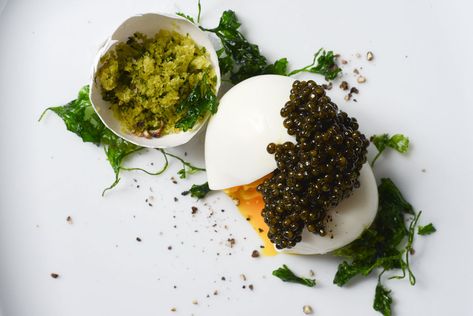 Caviar Dinner with Top Chef Alex Atala Caviar Dinner, How To Serve Caviar, Stuffed Eggs, Salmon Caviar, November 1st, Soft Boiled Eggs, Molecular Gastronomy, Sea Food, Zaha Hadid